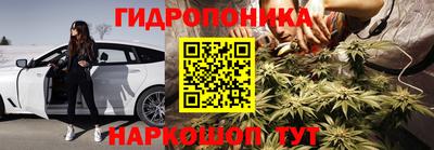 шишки Волжский