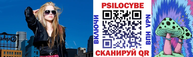 Галлюциногенные грибы Psilocybe  Златоуст 