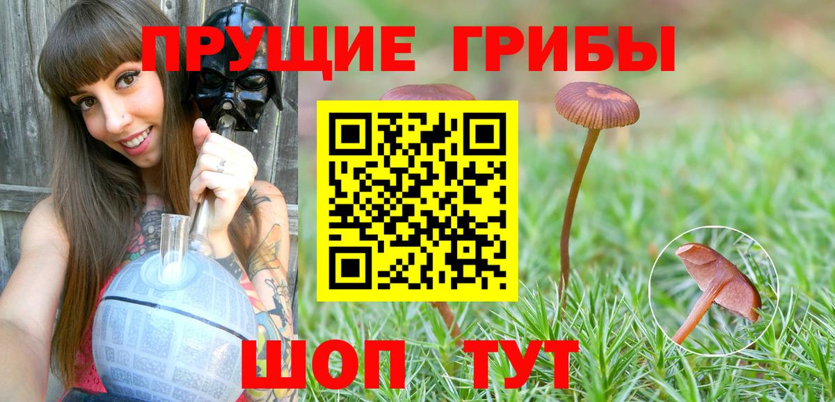 Псилоцибиновые грибы мицелий Златоуст